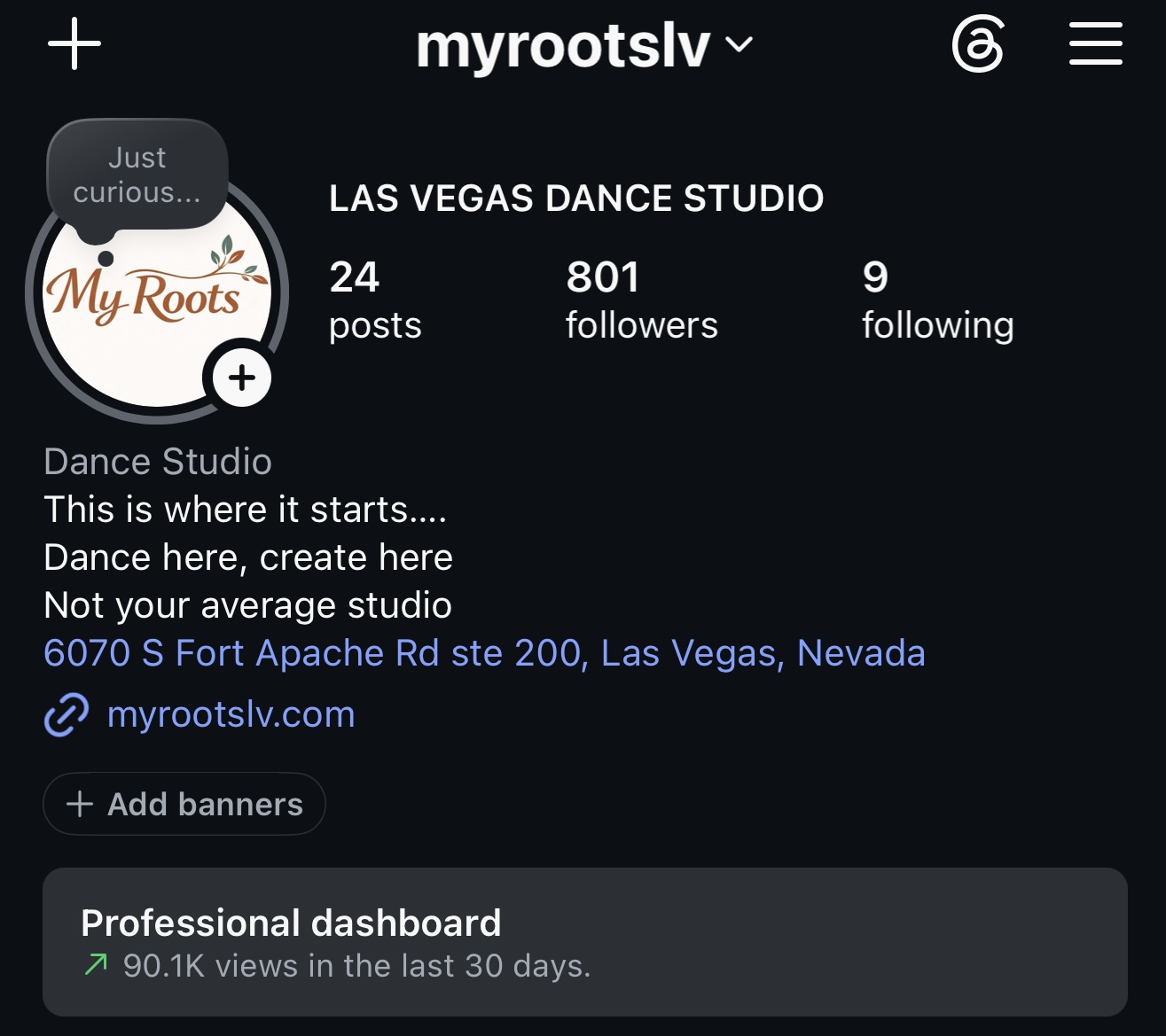 @myrootslv Instagram profile showing 24 posts, 801 followers, and 90.1K views in the last 30 days